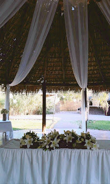 Las Palapas Jardin De Eventos